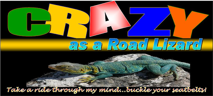 Crazy As A Road Lizard