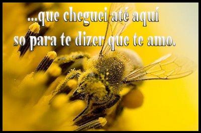 [sunflower_yellow_insect_8245_l.jpg]