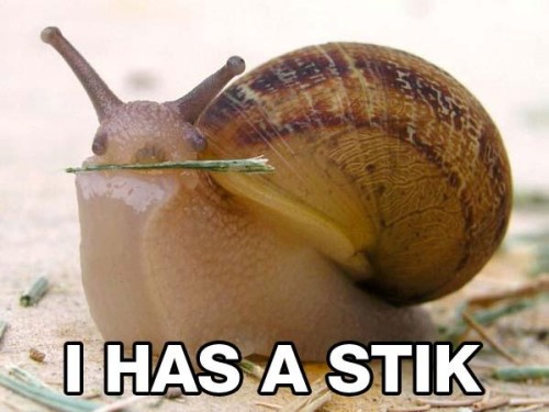 [snail+with+stick.jpg]