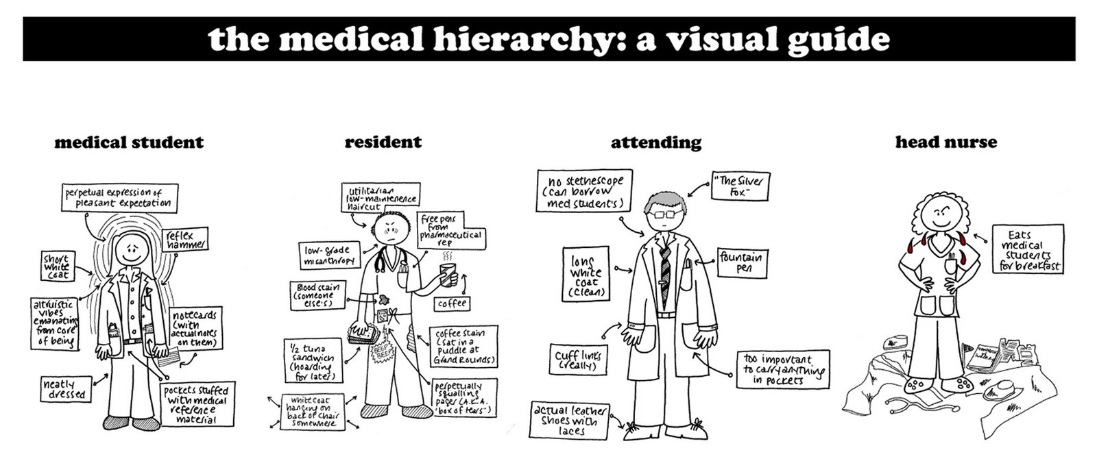 [medical+hierarchy.jpg]