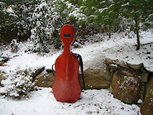 Cello in January