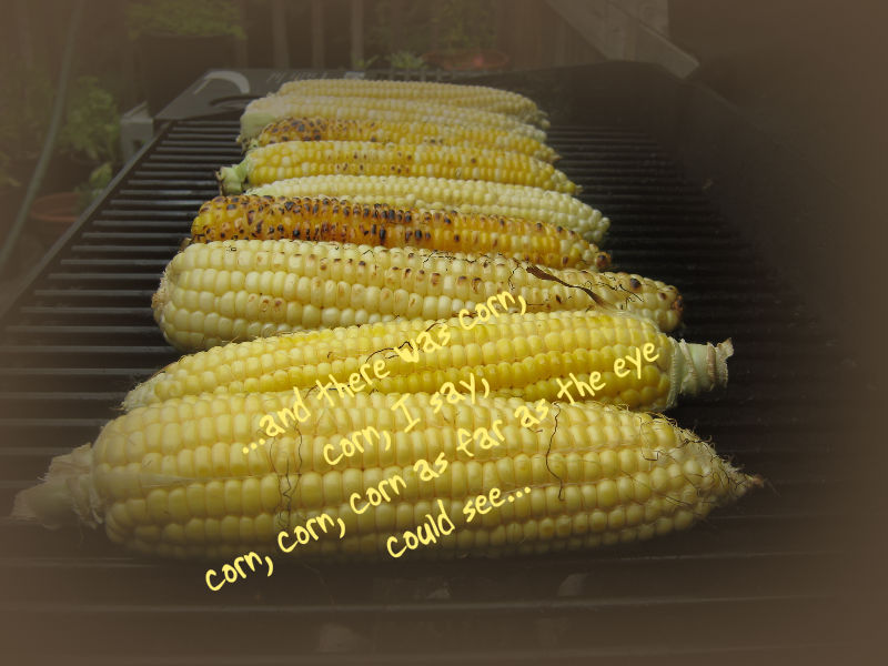 [corn.as.far.7.08]