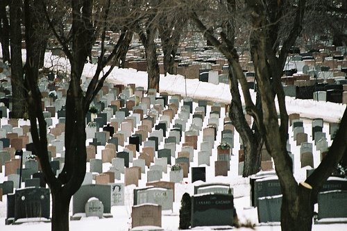 [cimitero+affollato.jpg]