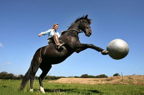 [football+horse.jpg]
