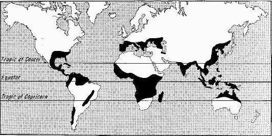[Country+Map+-+tropics.jpg]
