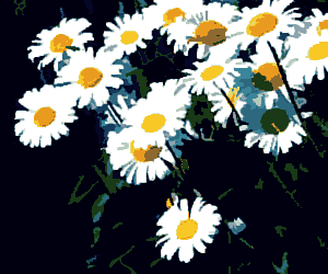 [daisies.gif]