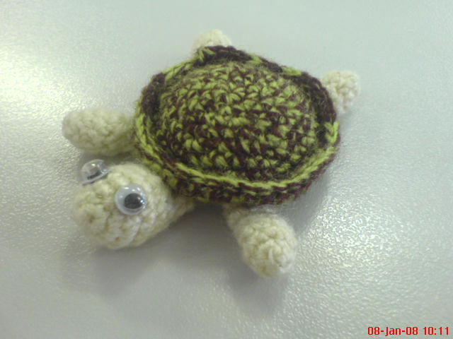 [sea+turtle.JPG]