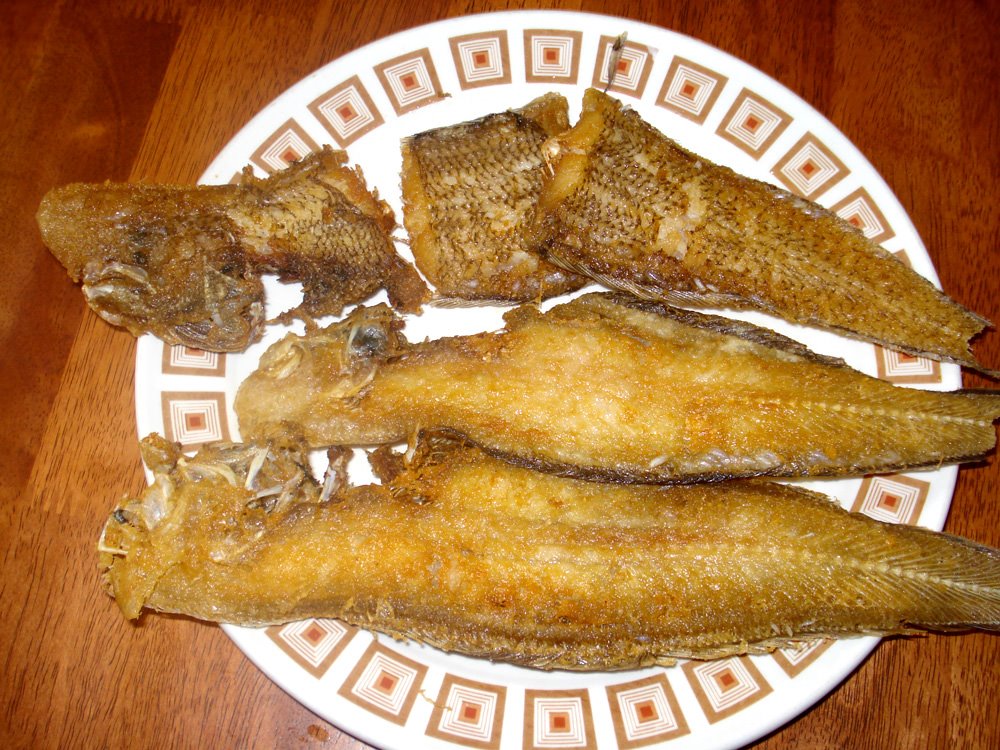 [fried+slipper+fish.JPG]