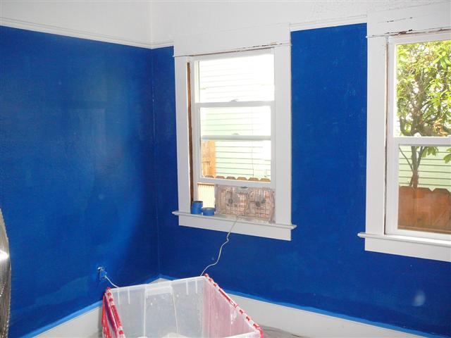 [P1020033+Blue+Room+1+coat+(Small).JPG]