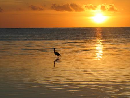 [Brenda+Aurora+Ysaguirre+Belizean+Shores+sunrise.jpg]