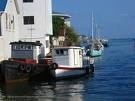 [Brenda+Aurora+Ysaguirre+Belize+City+Boats+in+Habour3.jpg]