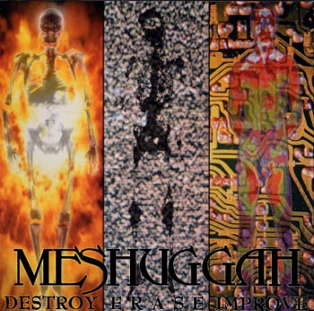[Meshuggah+-+Destroy+Erase+Improve+-+1995.jpg]