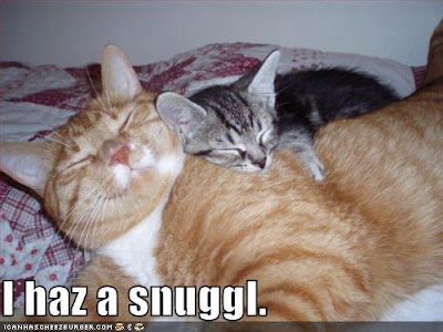 snugglepot and cuddlepie
