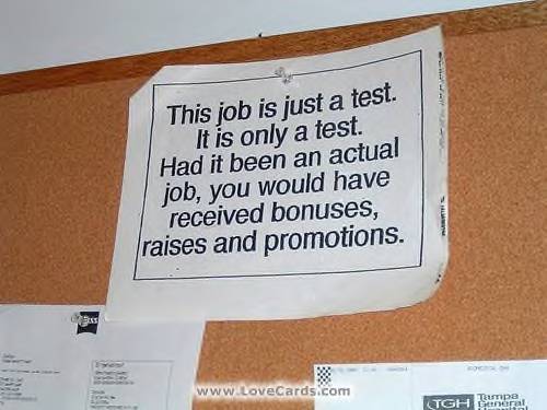 [job+is+test.jpg]