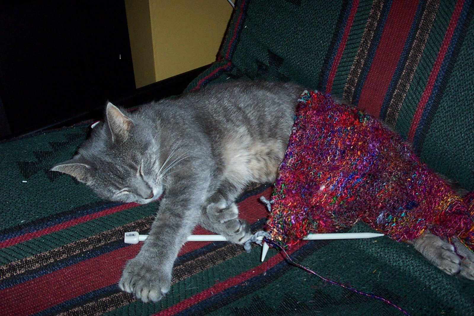 [knitting2.jpg]