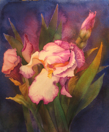 [Large+Pink+Iris+Watercolor.jpg]