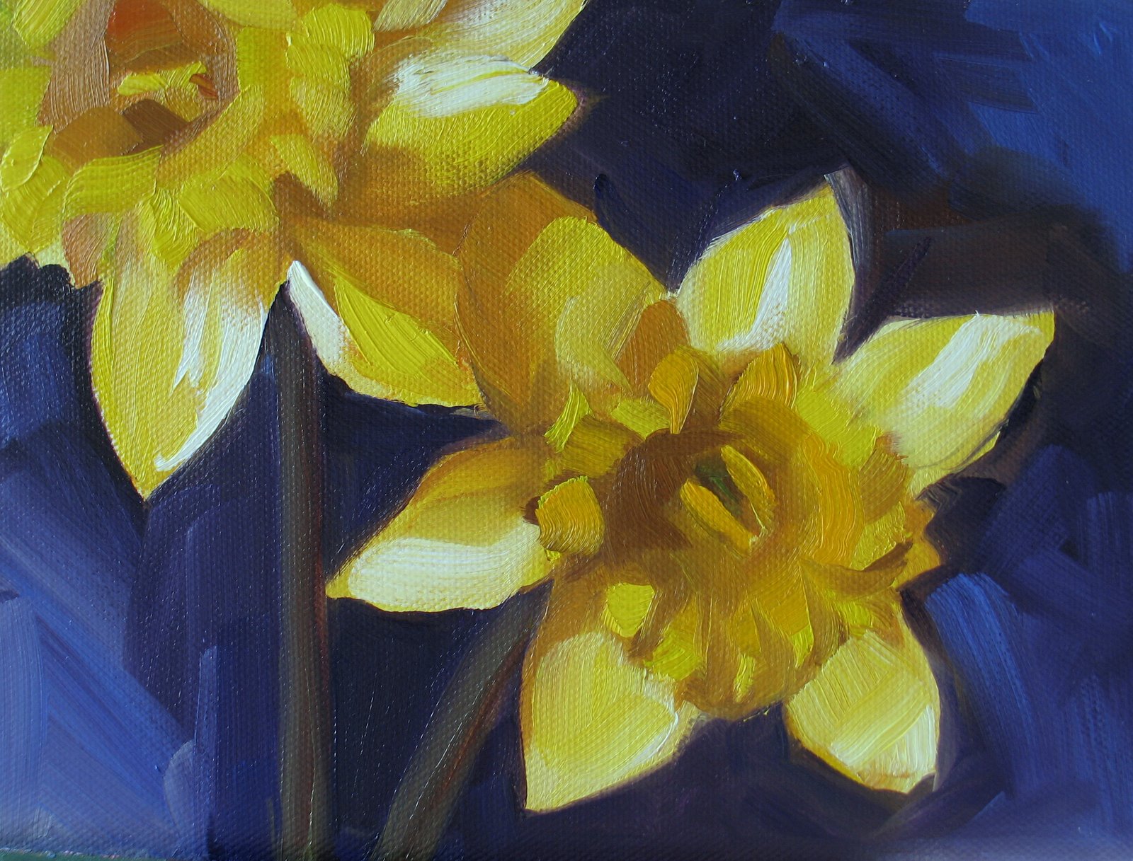 [Daffodils+Second.jpg]