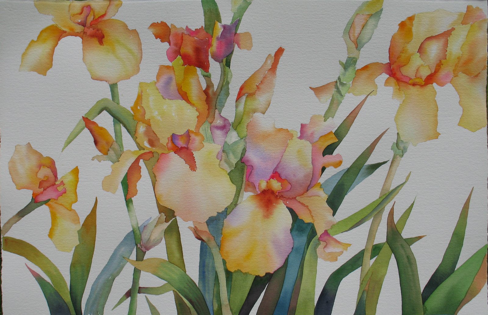 [Abstracted+Iris+Watercolor.jpg]