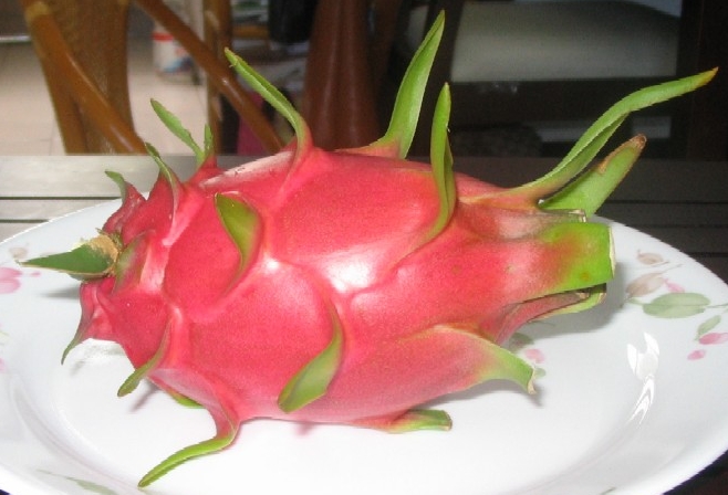 [Hylocereus+fruit+(allen+timothy+chang+@+wiki+pitaya).jpg]