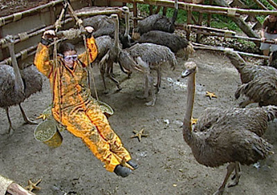 Lynne Franks and the Ostriches
