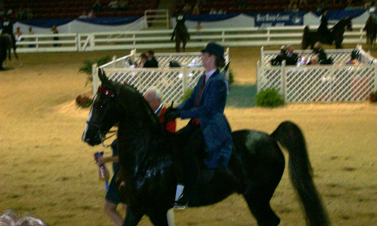 [Asheville+Horse+Show+2008+006.jpg]
