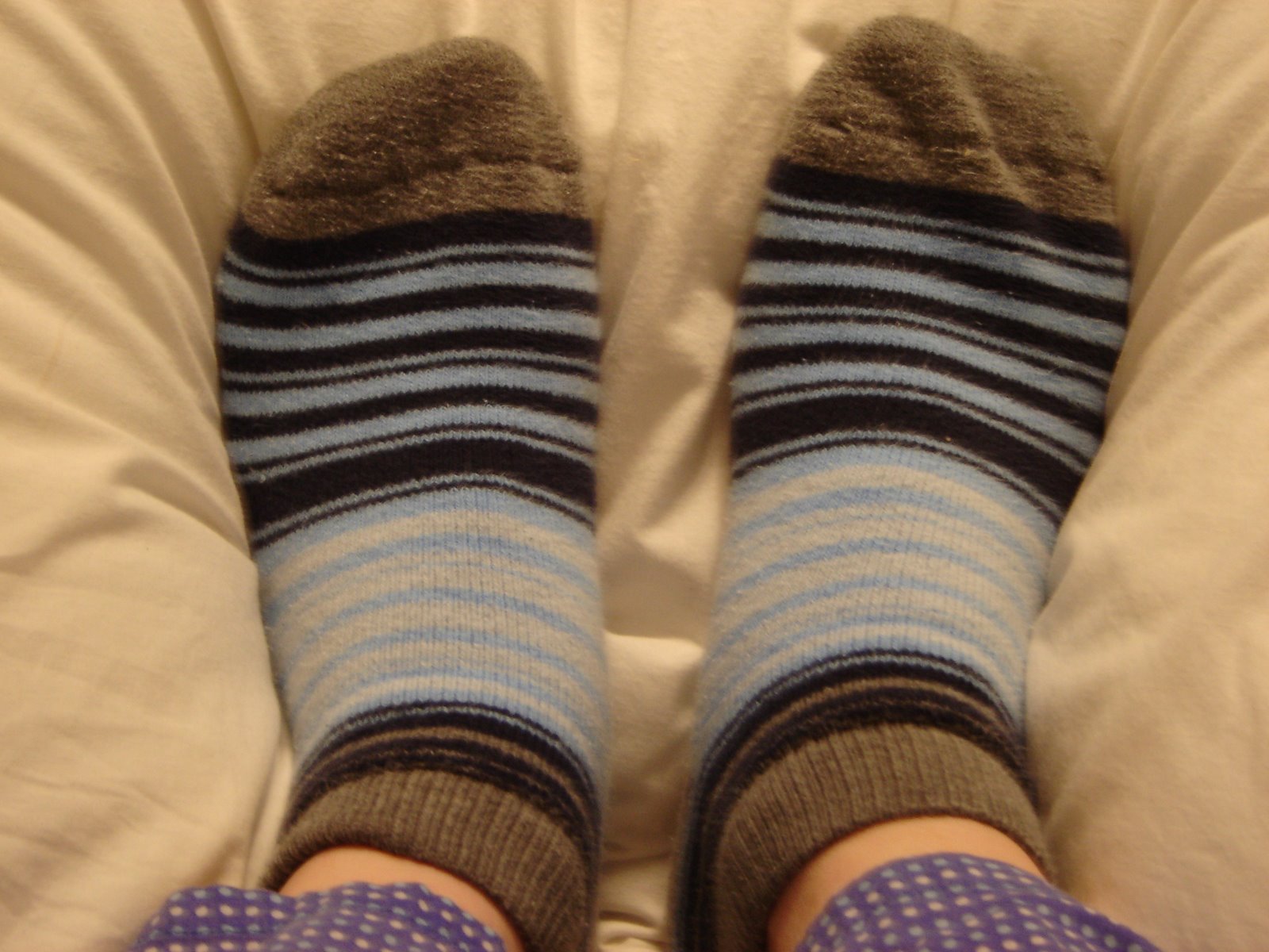 [socks+002.jpg]