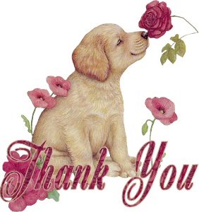 [Thank+You+Puppy.jpg]