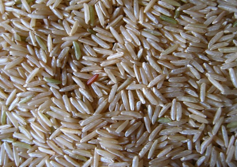 [rice.jpg]