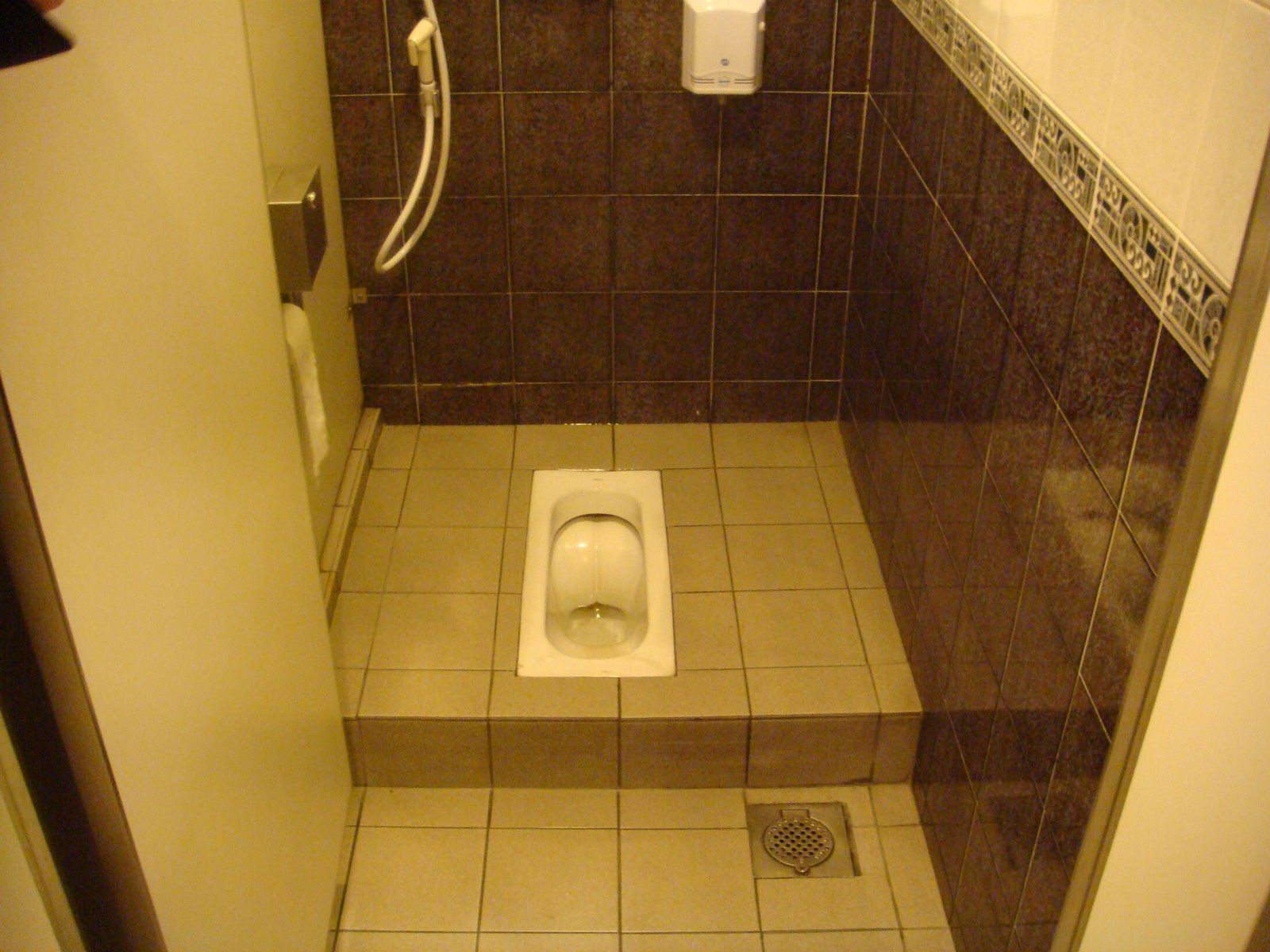 [Singapore+Toilet2.JPG]