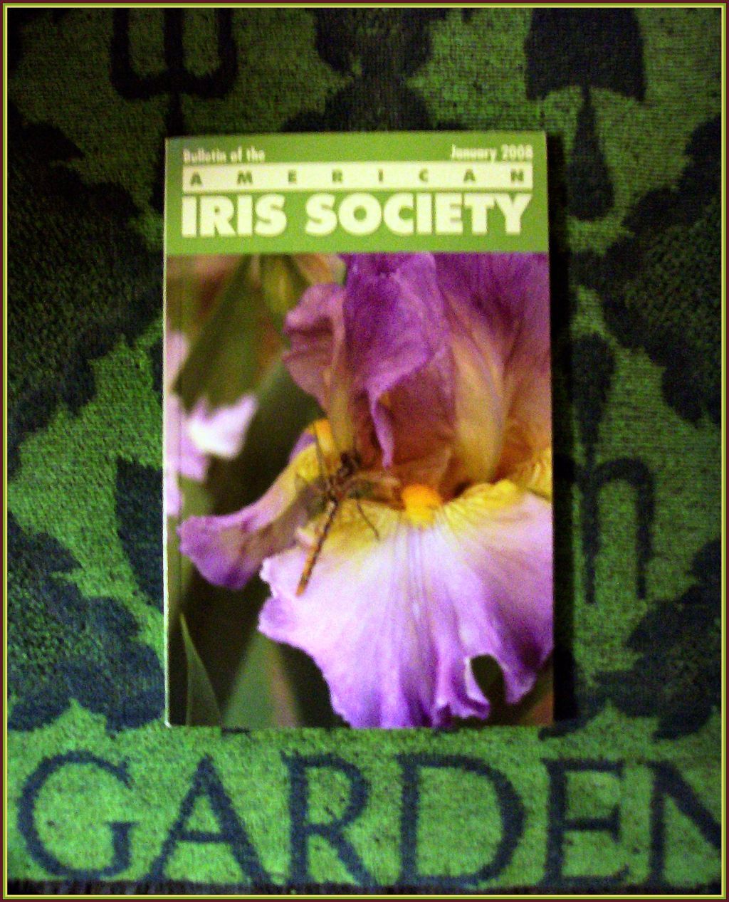 [american+iris+society.JPG]