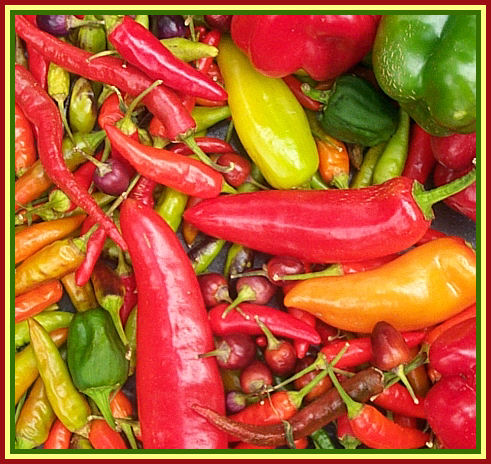 [peppers+1.jpg]