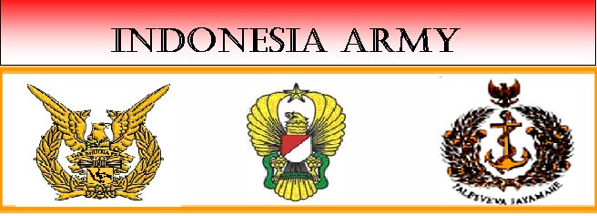ARMADA TEMPUR INDONESIA