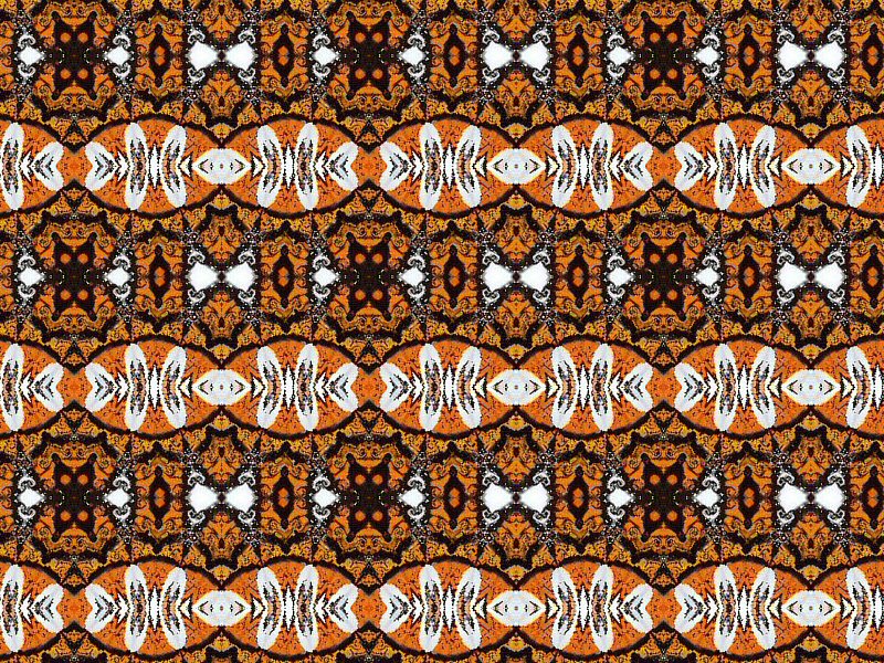[monarch-butterfly+kaleidoscoop+1+rand+patroon.jpg]