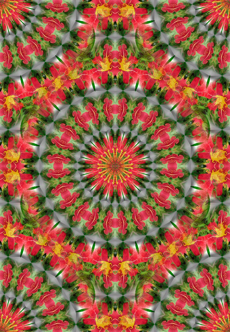 [Rode+bloem+kaleidoscoop+8+naadloos.jpg]