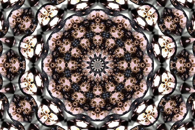 [barnacles+two+kaleidoscoop+3.jpg]