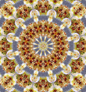 [Bouquet+1+kaleidoscoop+5.jpg]