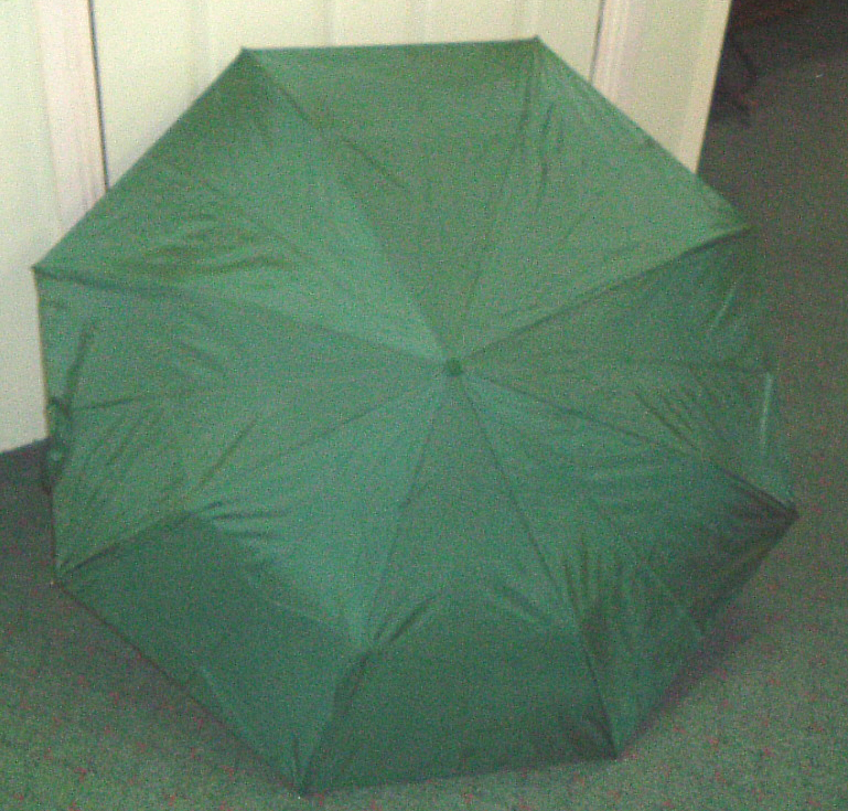 [Green+Umbrella.jpg]