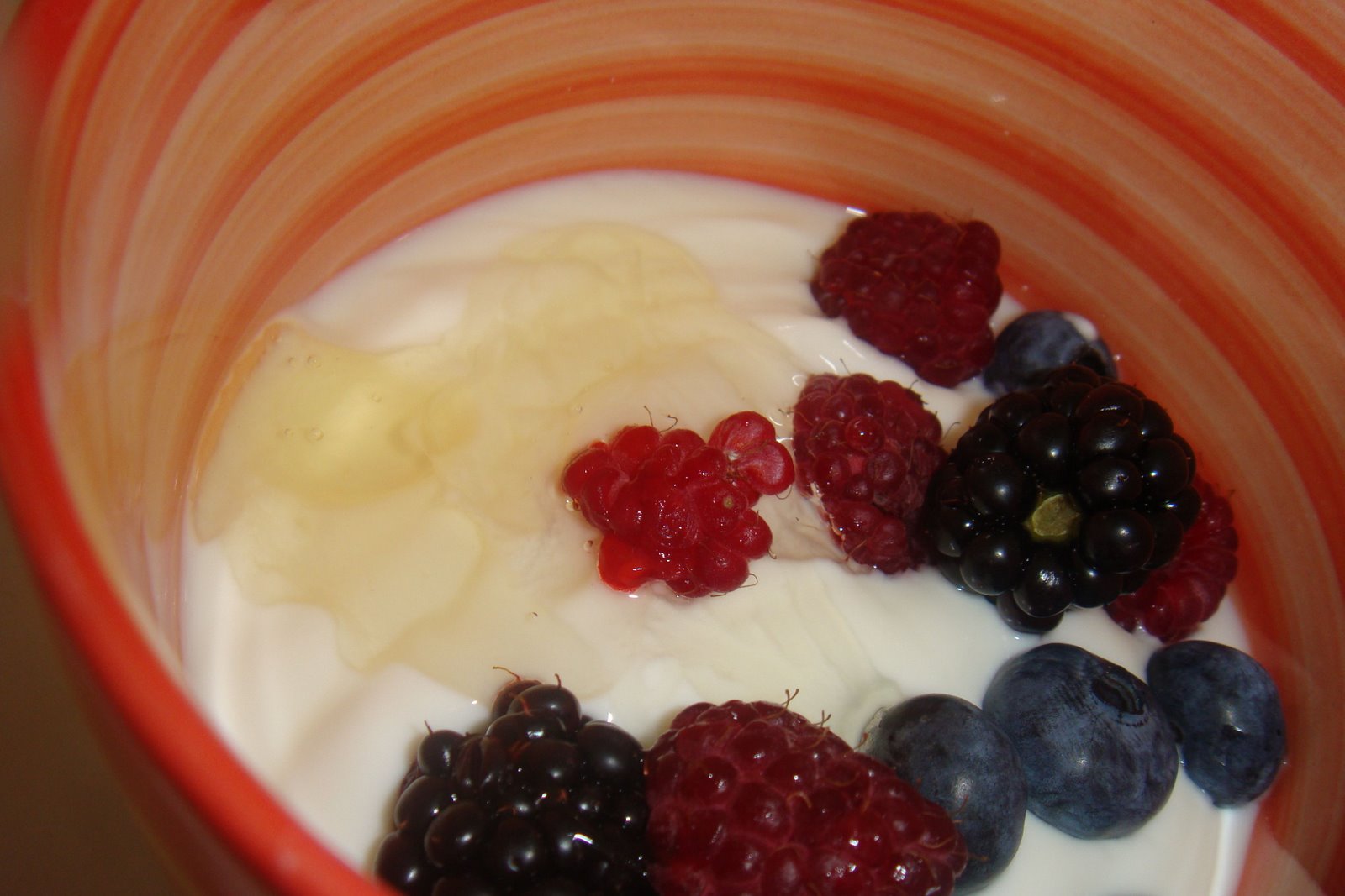 [iogurte+com+fruta+vermelhas.jpg]