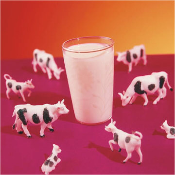 [Milk_Flavors.jpg]
