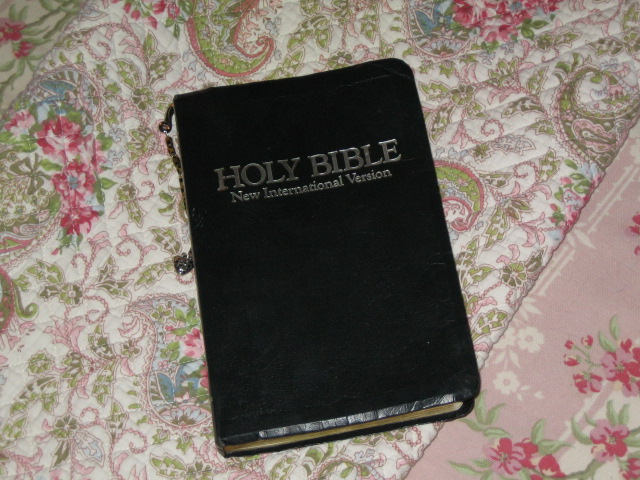 [Holy+Bible.JPG]