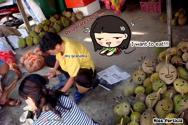[durian3small.jpg]