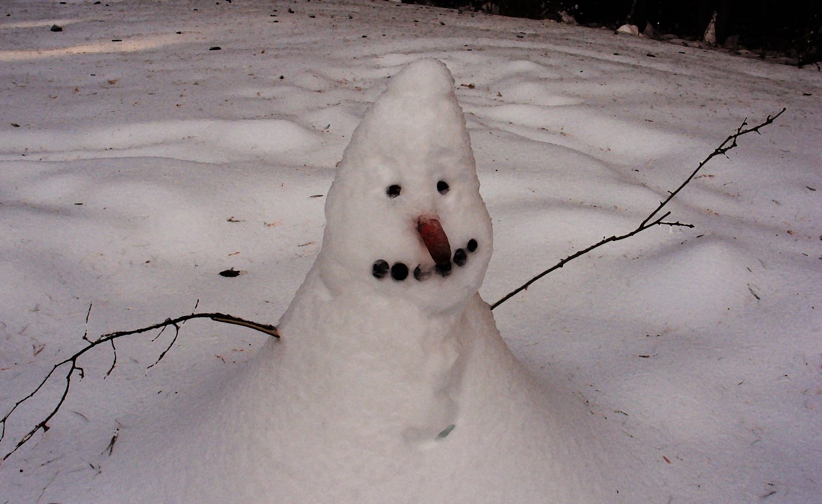 [snowman+dry+brush.jpg]