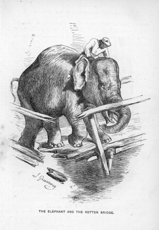 [The-Elephant-and-the-rotten-Bridge-1.jpg]