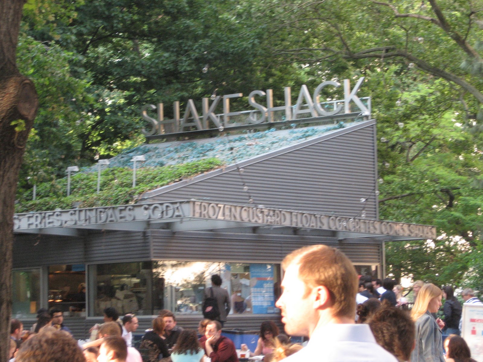[Leaving+and+first+two+weeks+068+Shake+Shack.jpg]