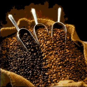 [coffee_beans2.jpg]