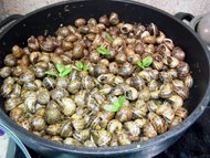 [snails+with+garlic+and+mint.jpg]