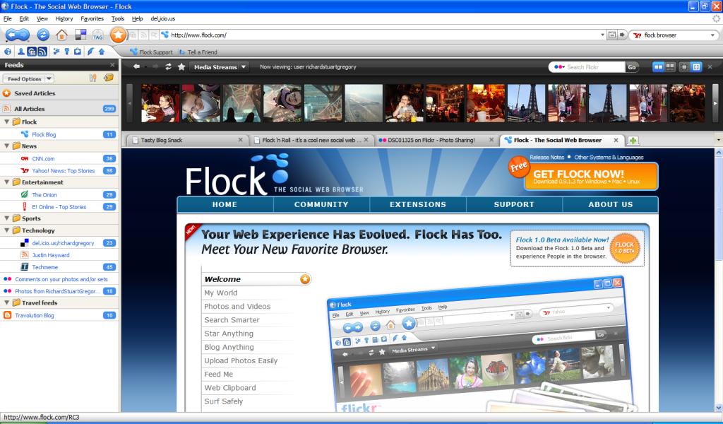 [flock+browser.jpg]