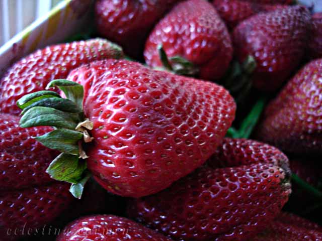 [strawberries-br.jpg]