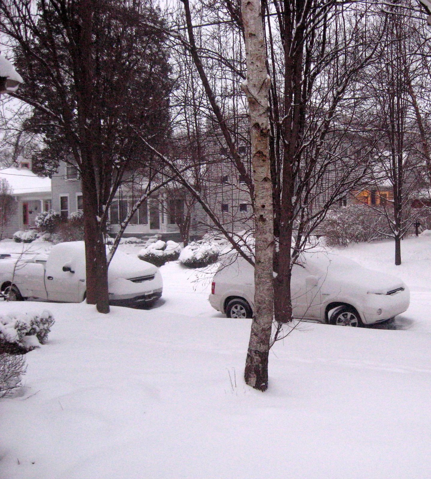 [snow+7+AM+2008-03-08a.jpg]
