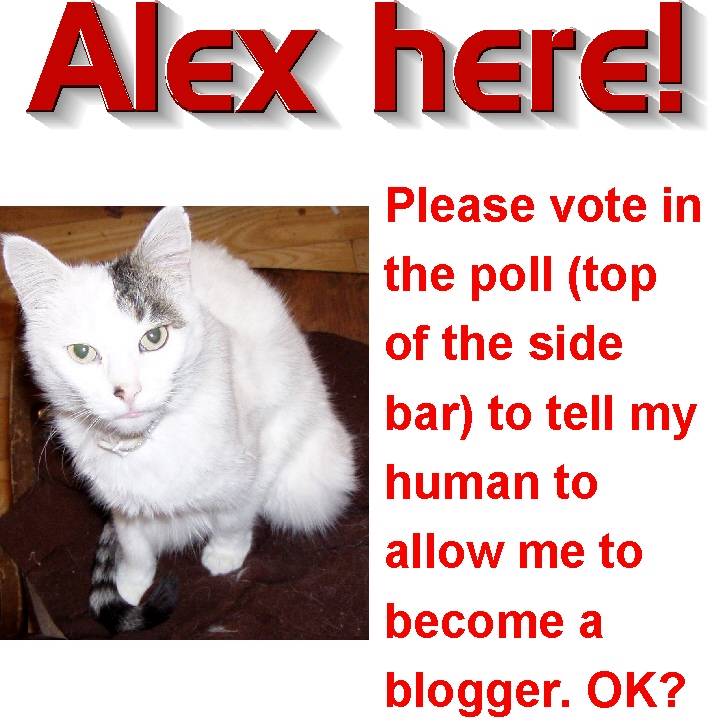 [Alex+poll.jpg]